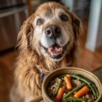 Golden retriever dog looking eagerly at a bowl of Beef & Barley Stew – Recipe for Dogs.
