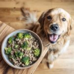 A bowl of Beef & Broccoli Dog Food next to a happy golden retriever, ready to eat!
