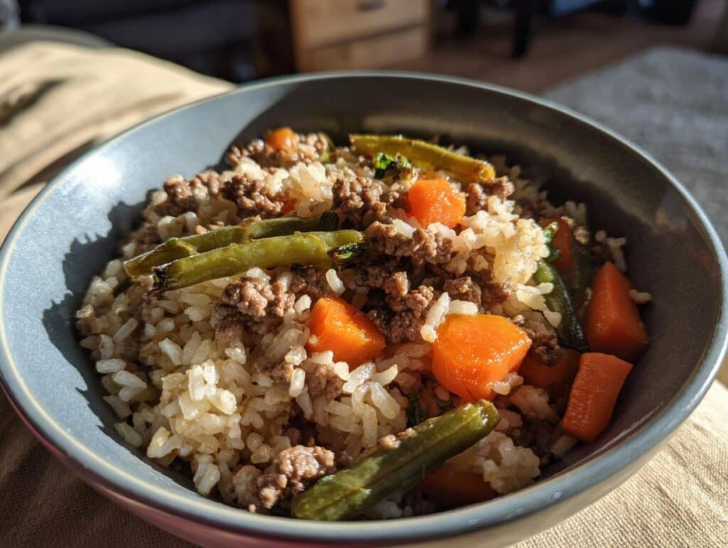 A bowl of homemade Beef and Rice Dog Food Recipe with carrots and green beans.
