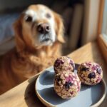 Three Blueberry Oat Energy Balls – Recipe for Dogs on a plate with a golden retriever dog in the background.