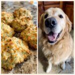 A batch of Broccoli Cheddar Biscuits next to a happy Golden Retriever dog.