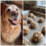 Happy dog next to a baking sheet of Carrot Peanut Butter Biscuits. Recipe for Dogs.