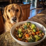 Golden retriever looking at a bowl of Chicken & Broccoli Healthy Dog Food Recipe.