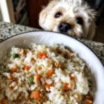 A small dog looks longingly at a bowl of Chicken Liver & Rice Small Dog Recipe.