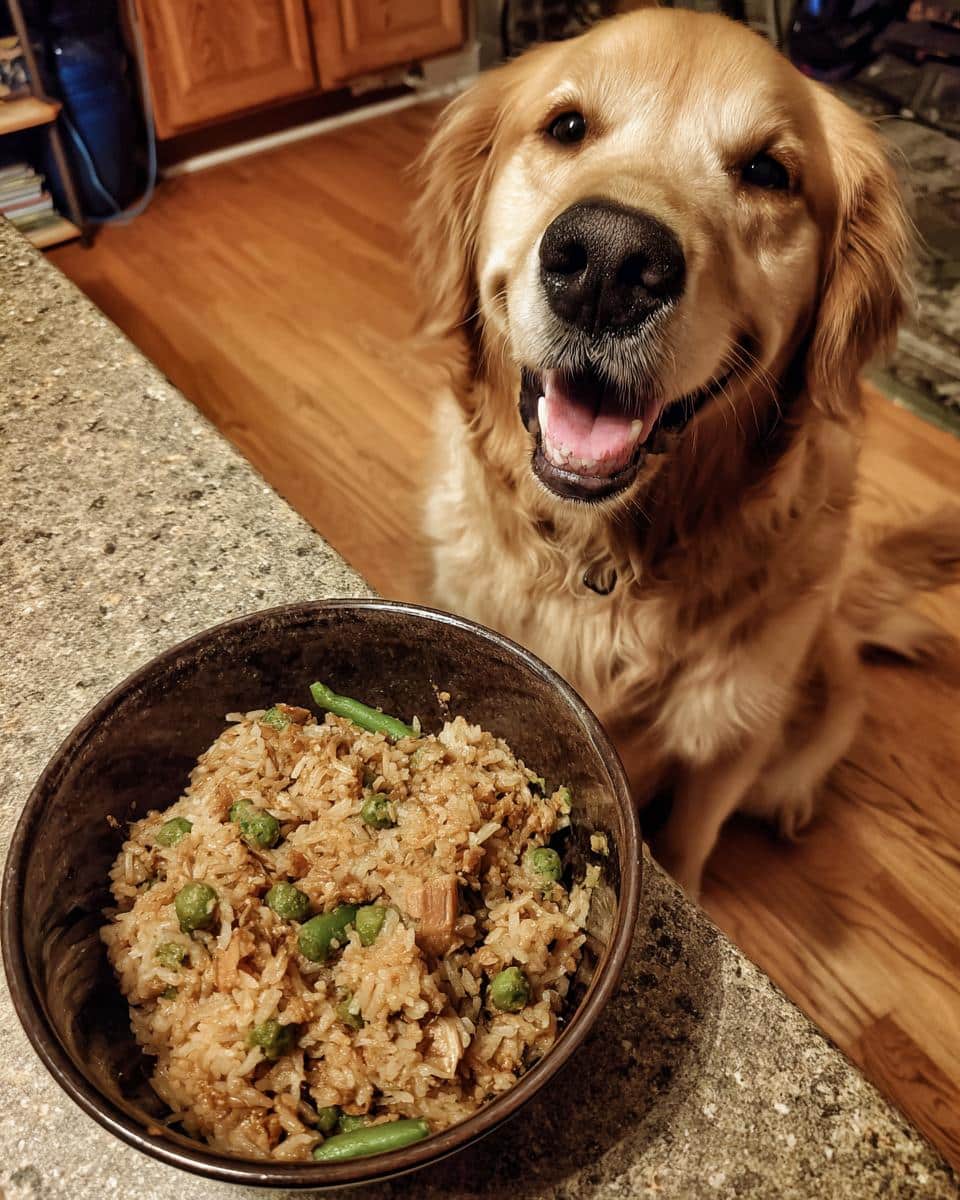 Happy golden retriever dog next to a bowl of Crockpot Chicken & Green Beans Dog Food.