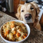 Golden Retriever dog looking at a bowl of Crockpot Chicken & Pumpkin Dog Food. Focus on the dog and the food.