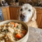 Golden retriever looking longingly at a bowl of Crockpot Chicken & Pumpkin Dog Food.