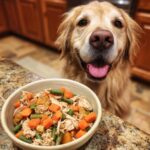 Golden Retriever dog looking at a bowl of Crockpot Chicken & Veggies Small Dog Food.