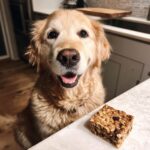 Golden Retriever looking at the camera next to an Apple Cinnamon Oat Bar – Recipe for Dogs.