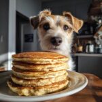 A cute dog gazes longingly at a stack of Banana Oat Pancakes on a plate.