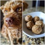A dog looks longingly at a bowl of Peanut Butter & Oatmeal No Bake Dog Treats.