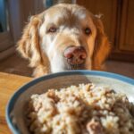 Golden Retriever dog looking longingly at a bowl of Raw Chicken Liver & Rice dog food.