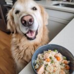 Golden Retriever eagerly awaits a bowl of Salmon & Brown Rice Dog Food, looking happy and excited.