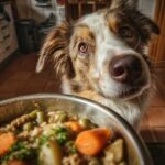 Dog looking expectantly at a bowl of Salmon & Oats Dog Food with carrots and other vegetables.