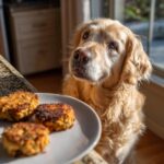 Golden Retriever dog looking longingly at a plate of Salmon & Sweet Potato Cakes.