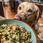 A golden lab eagerly eyes a bowl of Turkey & Green Beans Large Dog Recipe.