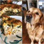 A slice of Egg & Spinach Vet-Approved Dog Food next to a golden retriever dog.