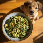 Bowl of Egg & Spinach Puppy Dog Food Recipe with a cute puppy looking at the camera.