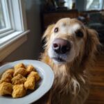 Golden retriever looking longingly at a plate of Frozen Pumpkin Yogurt Bites, homemade dog treats.
