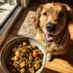Golden Retriever dog eagerly awaits a bowl of Lamb & Lentil Balanced Dog Recipe.