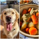 A golden retriever looks at the camera next to a bowl of One-Pot Chicken & Carrot Dog Food.