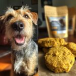 Split image: happy dog and a pile of Pumpkin & Chia Seed Treats for dogs. Recipe for dogs.