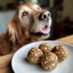 A plate of Pumpkin Peanut Butter Energy Balls for Dogs, with a golden retriever looking longingly in the background.