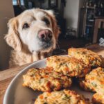 Golden Retriever dog looking longingly at a plate of Rice & Chicken Patties – Recipe for Dogs.