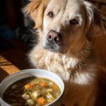 Golden retriever looking at a bowl of ingredients for Salmon Carrot Biscuits recipe for dogs.