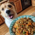 Excited dog looking at a plate of homemade Salmon & Carrot Dog Food. Healthy and tasty recipe.