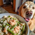 Bowl of Salmon & Green Beans Dog Recipe with a happy golden retriever in the background.