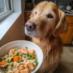 Golden retriever eagerly awaits a bowl of Salmon & Oatmeal Quick Dog Recipe with peas and carrots.