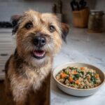 A happy dog looks at the camera next to a bowl of Salmon & Spinach Small Dog Food.