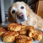 Golden Retriever dog looking at a plate of Salmon Veggie Patties, a recipe for dogs.