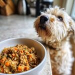 Small dog looking longingly at a bowl of Soft Beef & Carrot Senior Small Dog Recipe.