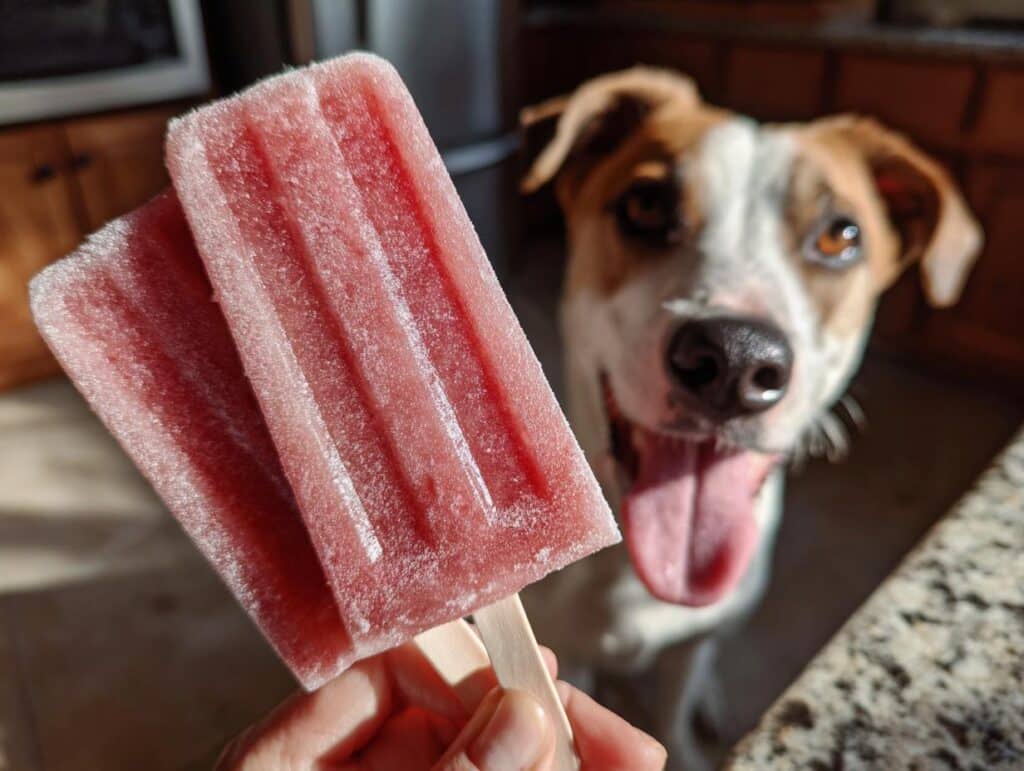 Two Strawberry Banana Frozen Pops held up with a dog eagerly waiting in the background.