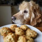 Golden retriever looking longingly at a plate of Tuna Sweet Potato Nuggets – Recipe for Dogs.