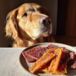 Golden Retriever dog looking longingly at a plate of Turkey Apple Jerky treats.