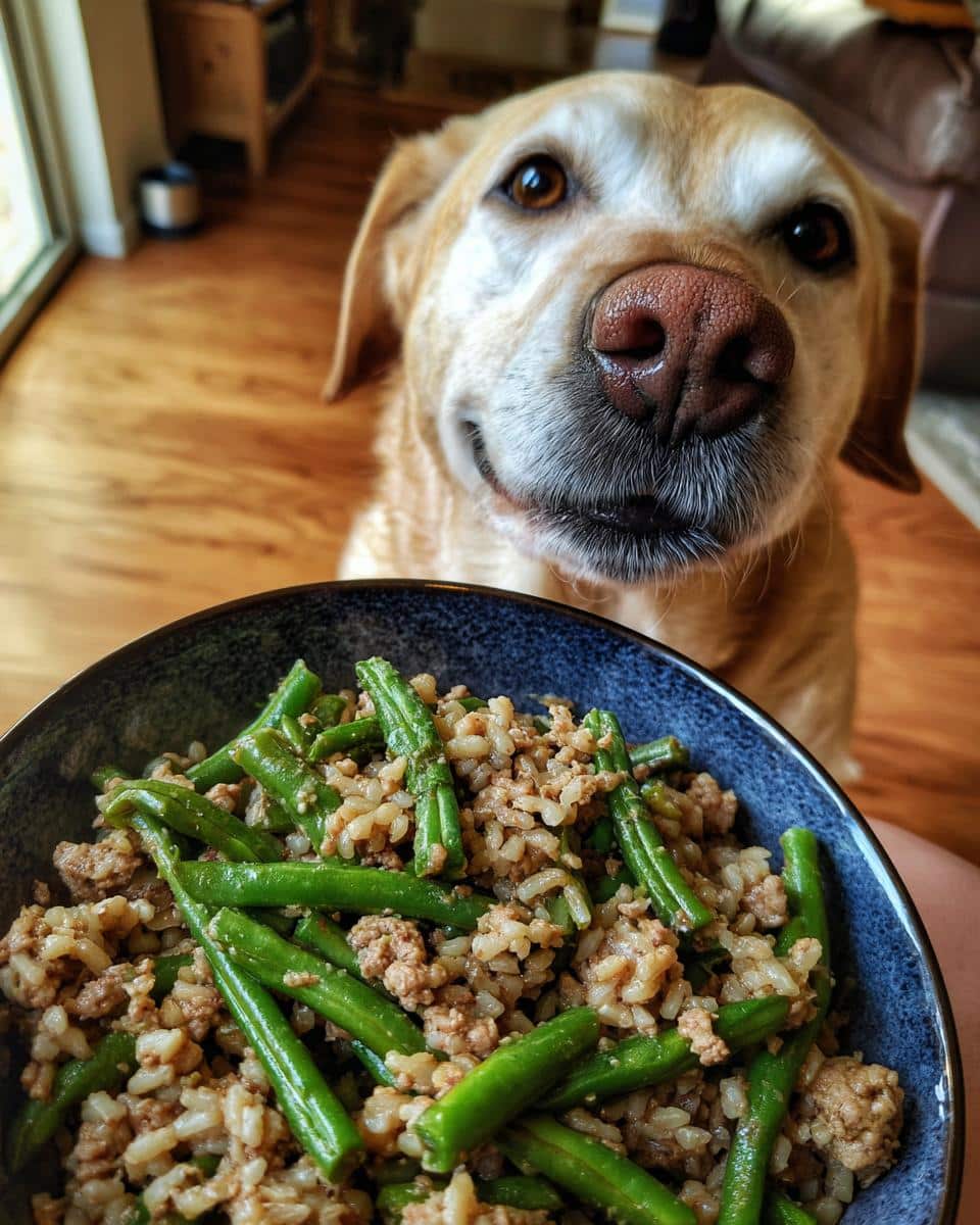 A bowl of Turkey & Green Beans Large Dog Recipe, with a happy dog looking at the food.