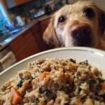 A dog gazes longingly at a bowl of Turkey & Spinach Easy Dog Meal, ready to enjoy a tasty and nutritious dinner.