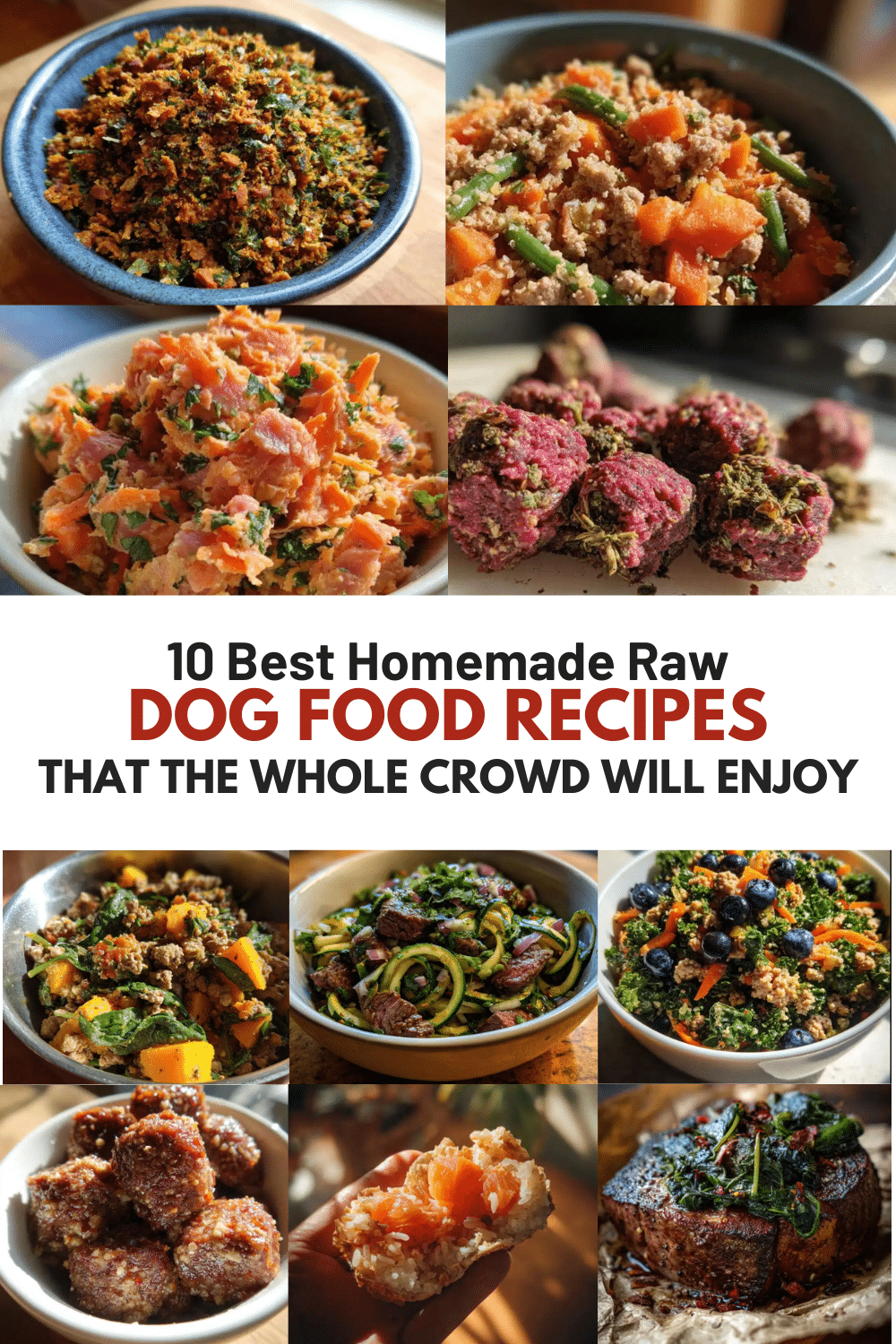 10 Best Homemade Raw Dog Food Recipes