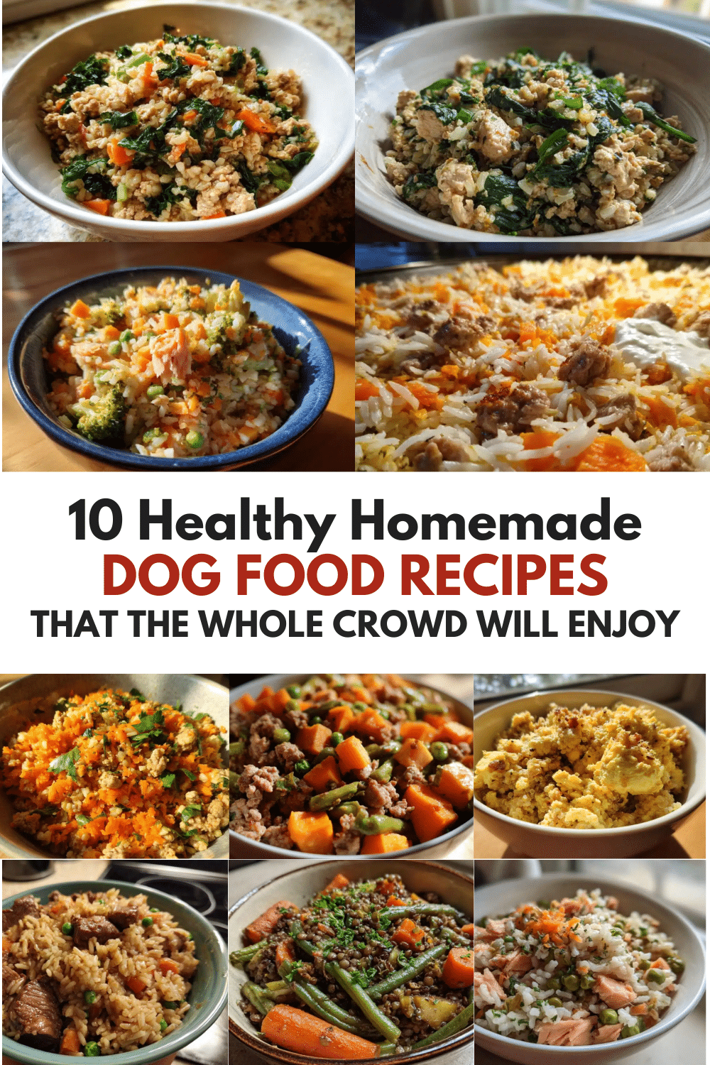 10 Healthy Homemade Dog Food Recipes