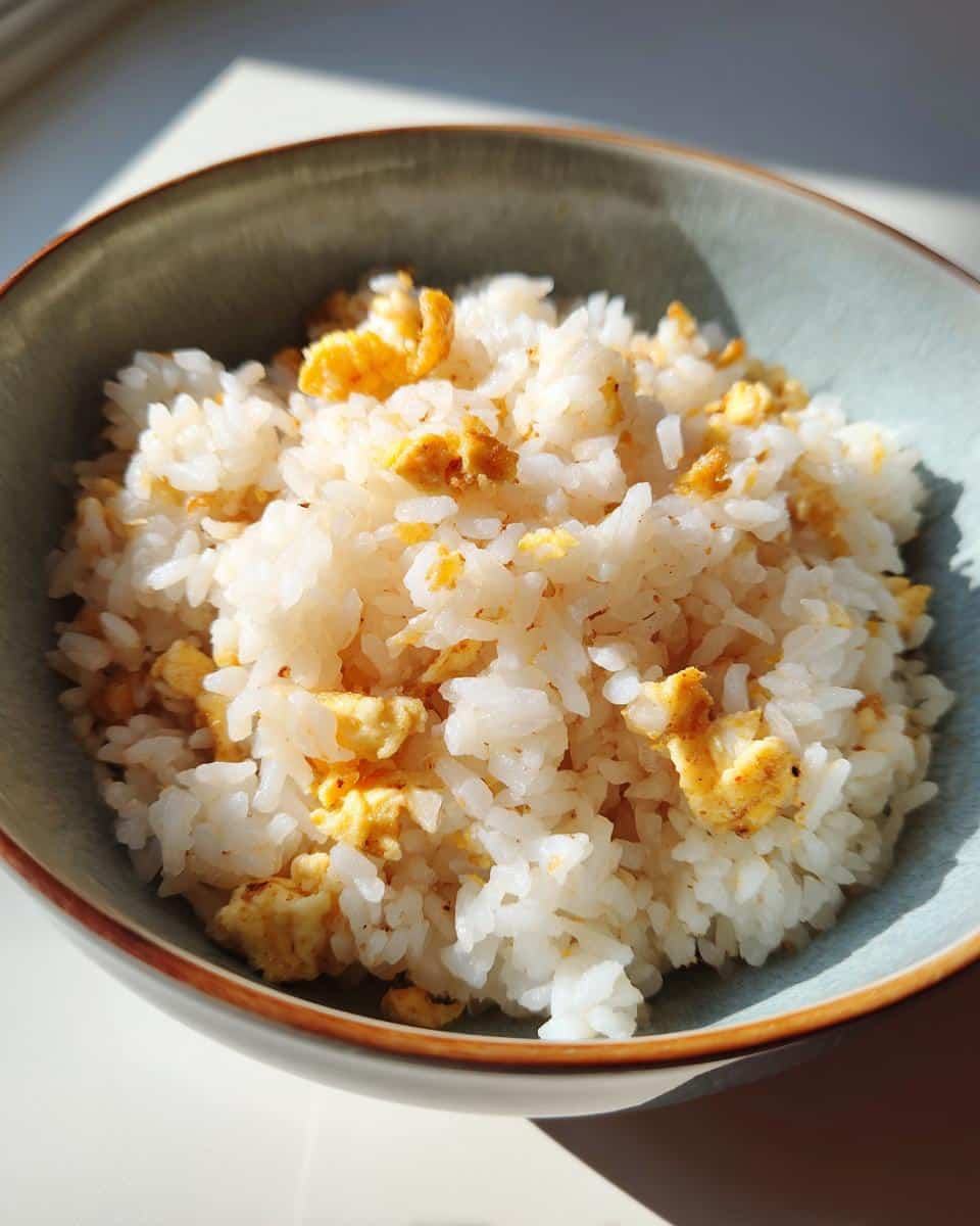 A bowl of Easy Rice & Egg Meal for Tiny Pups, featuring white rice mixed with scrambled eggs.