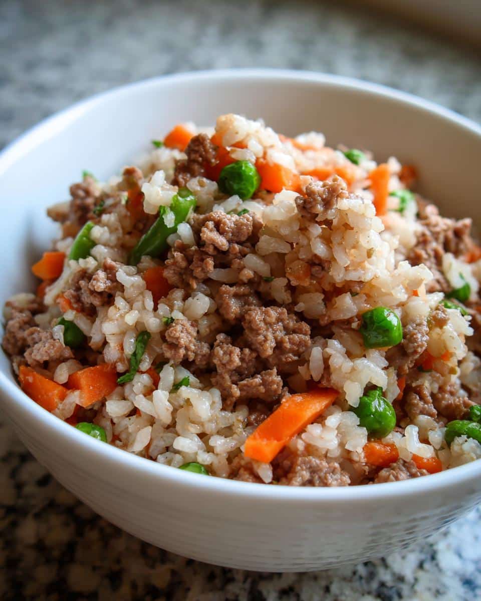 Close-up of homemade dog food with beef and turkey, rice, carrots, and peas in a white bowl.